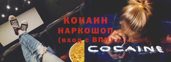 СК Волоколамск