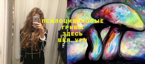 гидра Волосово
