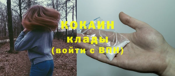 гидра Волосово